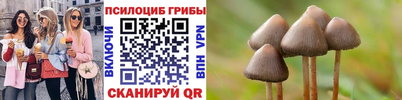Купить закладки  Солнечногорск  Псилоцибиновые грибы мухоморы 